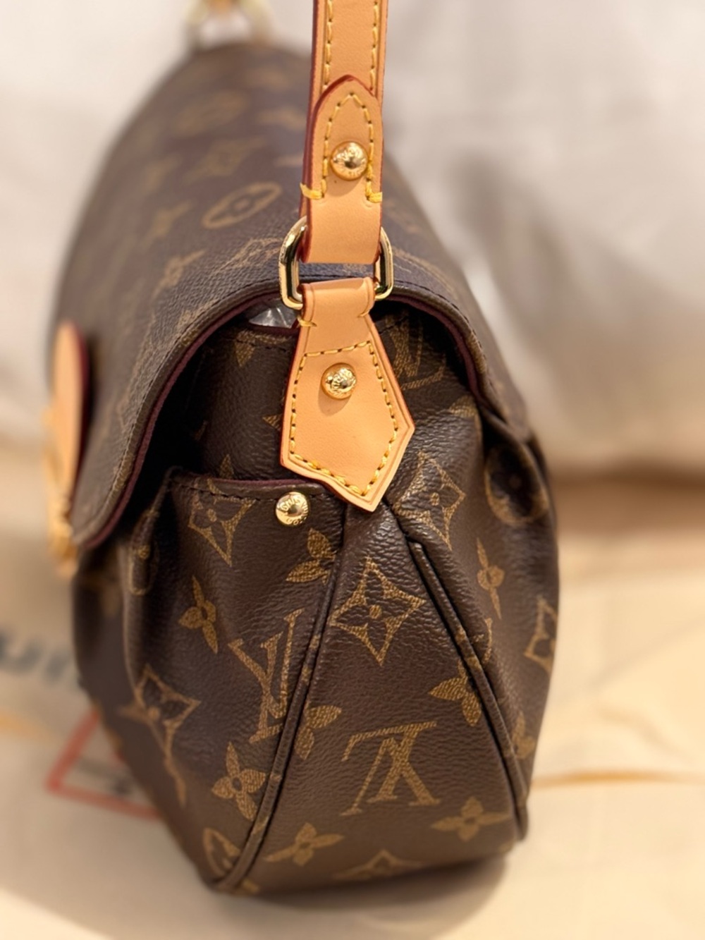 Luxury bag - Picture 6 of 13